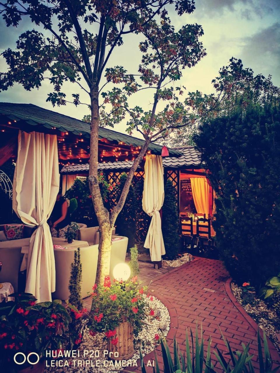 Hotel-Pensiunea Zefir Τιμισοάρα Εξωτερικό φωτογραφία